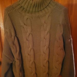 Premise Womens Turtle Neck Sweater